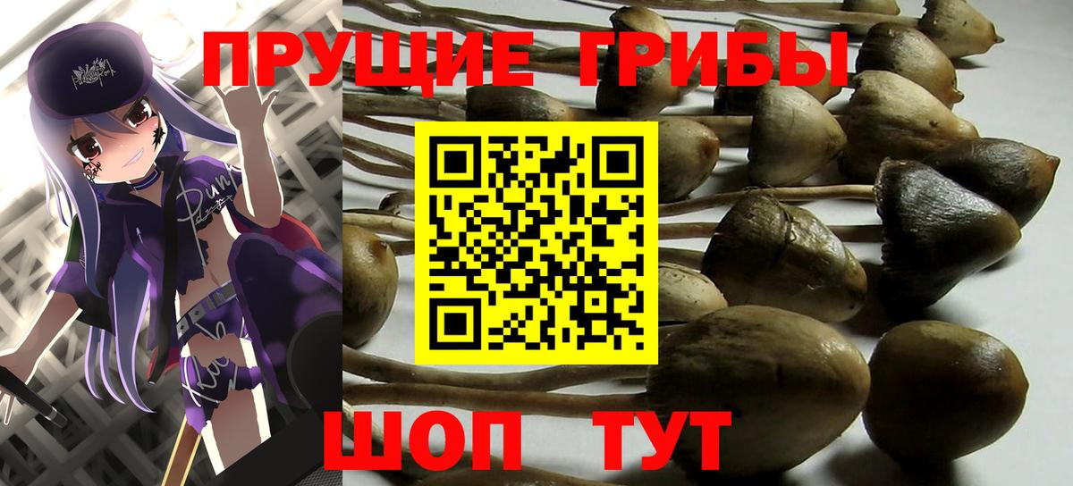 Псилоцибиновые грибы мухоморы Клинцы