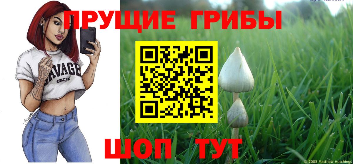 Галлюциногенные грибы GOLDEN TEACHER  Вход с VPN  Клинцы 